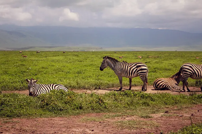 Best Time To Visit Lake Natron
