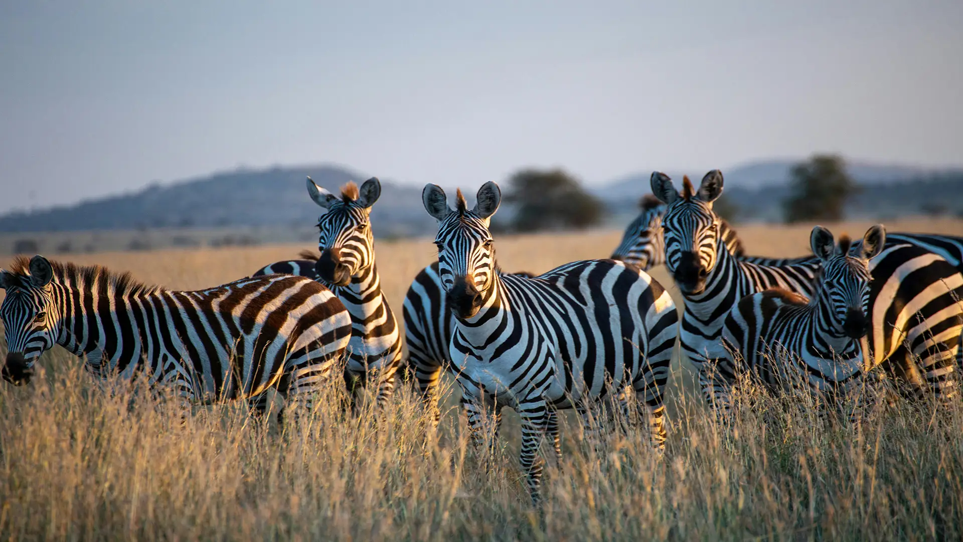 Destinations in Tanzania