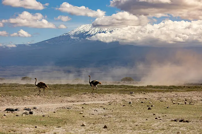 Mount Kilimanjaro