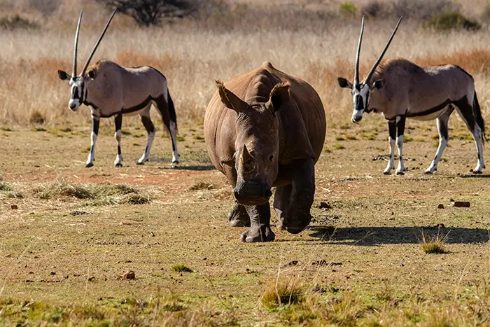 Serengeti National Park